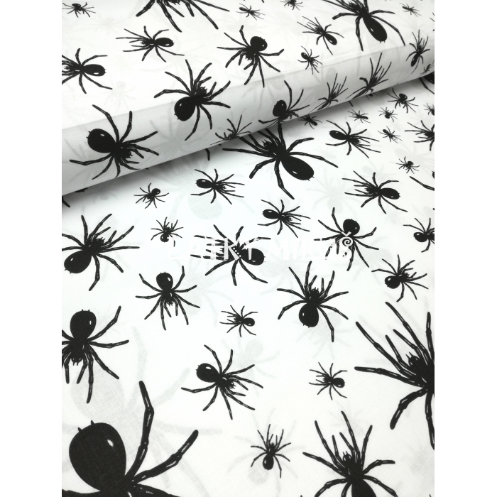 č.2794 pavouci na bílé