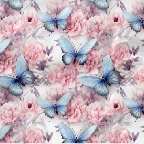 Kočárkovina - motýl růžový