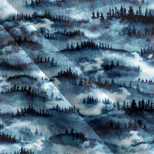 Kočárkovina - Zimní les