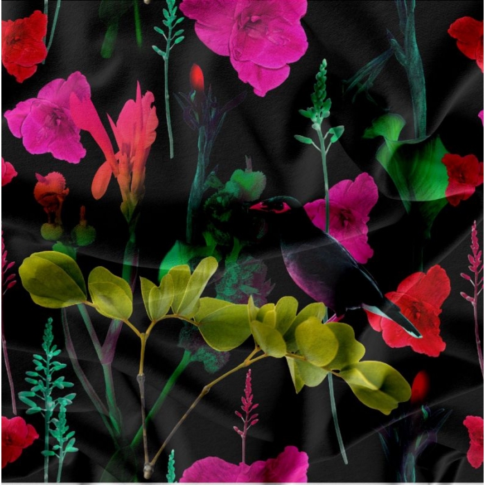 Kočárkovina - fotokvěty na černé